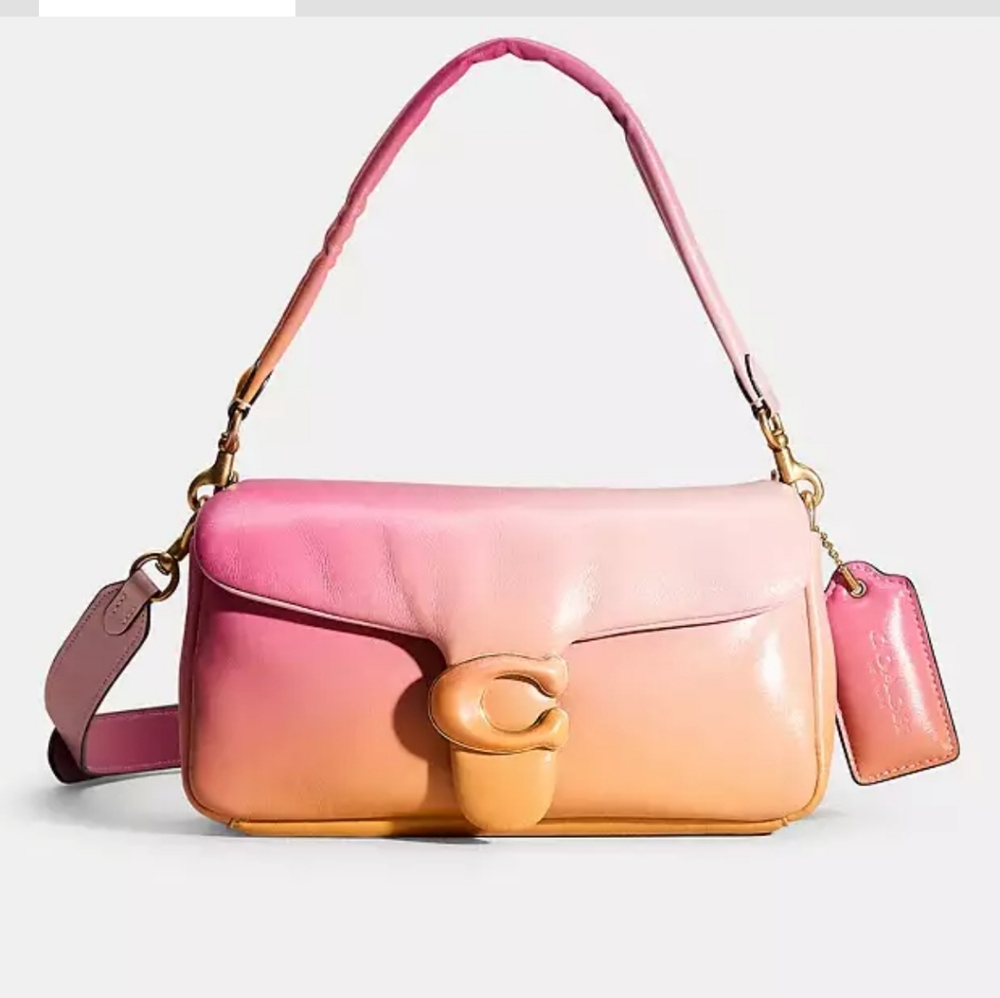 Coach Pillow Tabby Ombre 26